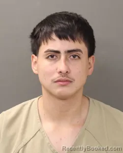 Mugshot of ANDERSON LEIVA