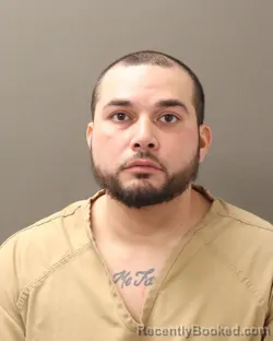 Mugshot of NICHOLAS N GARIBALDO