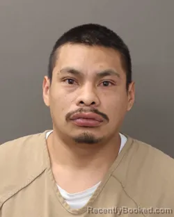 Mugshot of RAUL MARTINEZ ALVAREZ