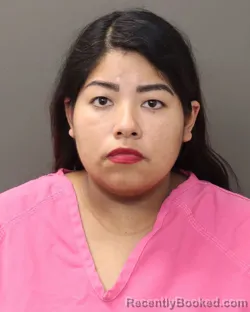 Mugshot of KATHERINE MILAGROS