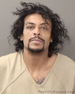 Mugshot of GREG DEVON PETERSON