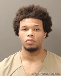 Mugshot of JHIALE VON MILLS