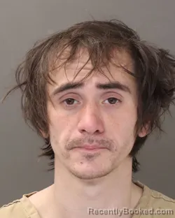 Mugshot of JEFFERY LEE NICHOLSON