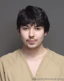 Mugshot of JUSTIN NOVOA