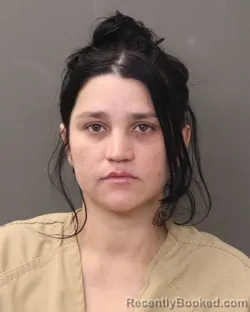Mugshot of MARYELIN SEGOVIA