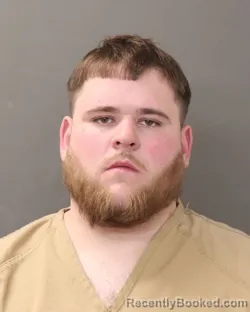 Mugshot of BRENNEN JOHNSON