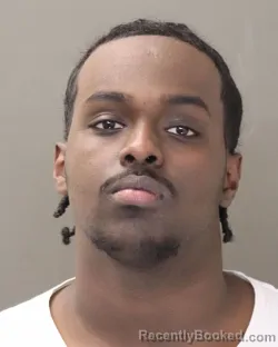 Mugshot of SAMATAR SALAD