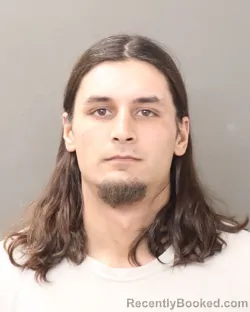 Mugshot of ALEX ANTHONY FRANCIS