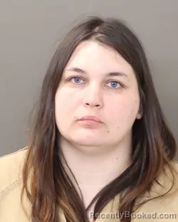 Mugshot of AMY JOHNSON