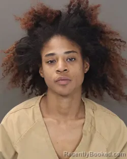 Mugshot of DAVONNIA JOHNSON