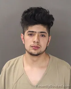 Mugshot of JUAN C PEREZ GARDUNO