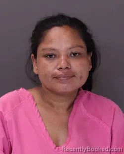 Mugshot of RADHIKA BISWAKARMA booked in Franklin County, Ohio on July 4, 2026