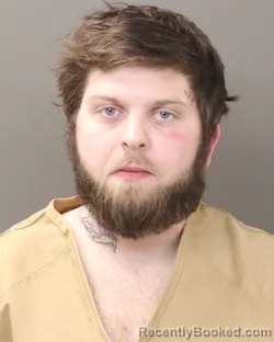 Mugshot of GAGE DONALD BREWER booked in Franklin County, Ohio on March 13, 2026