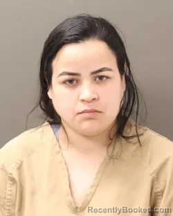 Mugshot of DIANA CAROLINA TORO GERDERT booked in Franklin County, Ohio on March 15, 2026