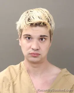 Mugshot of TIMOTHY JAMES TALTON booked in Franklin County, Ohio on March 17, 2026