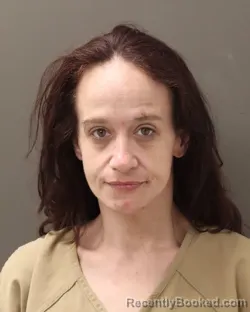 Mugshot of BRANDY L STEVENS booked in Franklin County, Ohio on March 24, 2026