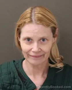 Mugshot of MARY ANN LISI booked in Franklin County, Ohio on March 25, 2026