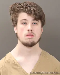 Mugshot of PARTON LEE BICKLE booked in Franklin County, Ohio on March 26, 2026