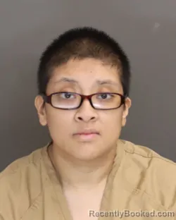 Mugshot of ELIZABETH RIVERA SALGADO booked in Franklin County, Ohio on March 29, 2026