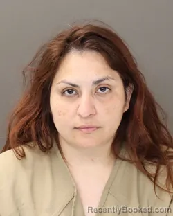 Mugshot of SANDRA LEMUS booked in Franklin County, Ohio on April 26, 2026