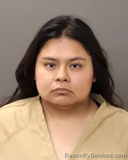 Mugshot of SARAI GONZALEZ HERNANDEZ booked in Franklin County, Ohio on April 27, 2026