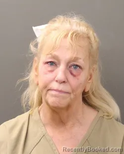 Mugshot of TAMMY ELAINE STARTCHER booked in Franklin County, Ohio on April 28, 2026