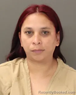 Mugshot of MARIANNY Y CAMACARO booked in Franklin County, Ohio on May 8, 2026
