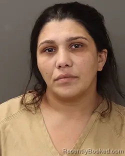 Mugshot of VERONICA MISCLESCU booked in Franklin County, Ohio on May 12, 2026