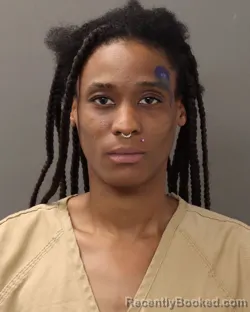 Mugshot of JERI BREANNA LOGAN booked in Franklin County, Ohio on May 16, 2026