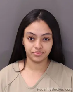 Mugshot of DAMARIS NUNEZ DIAZ booked in Franklin County, Ohio on July 2, 2026