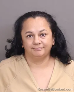 Mugshot of Luz Galvis De Ramos booked in Franklin County, Ohio on August 29, 2026