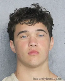 Mugshot of DRAKE FITZER