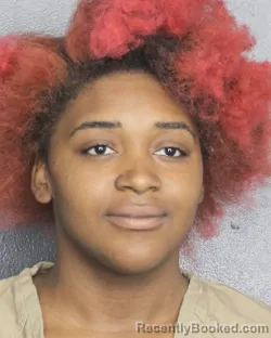 Mugshot of HALEY CHRISTINA AALIY MILLER