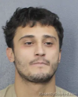 Mugshot of DAVID YOSE LABRADOR