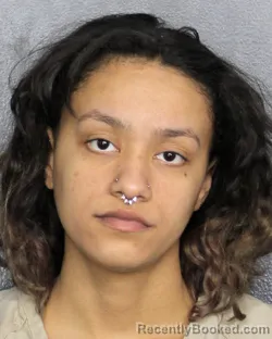 Mugshot of ADALIZ GLOREAN BERRIOS CINTRON