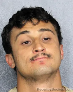 Mugshot of DAVID YOSE LABRADOR