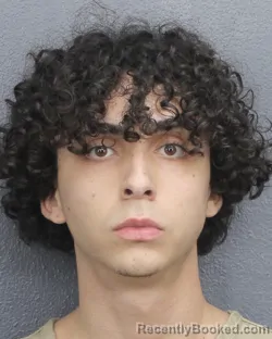 Mugshot of CARLOS RAFAEL FLORES booked in Broward County, Florida on April 22, 2026