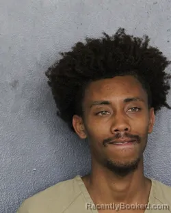 Christian Alexander Rivas Mugshot & Arrest Info | Broward County, FL