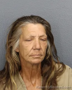 Mugshot of DENISE ANN WEBB booked in Broward County, Florida on June 17, 2026