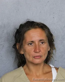 Mugshot of Shannon Marie Dillon booked in Broward County, Florida on August 21, 2026