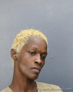 Mugshot of Sattan Annabel Gardner booked in Broward County, Florida on September 26, 2026