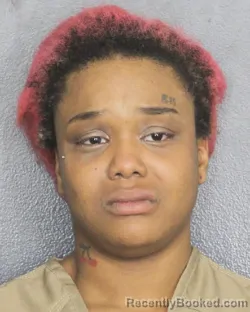 Mugshot of CAMILLE CONNER