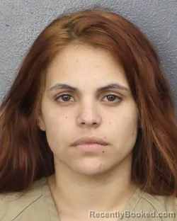Mugshot of CYNTHIA ISABEL FERNANDEZ SANTIESTEB