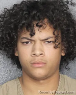 Mugshot of DANYEL DAVYD NIEVES