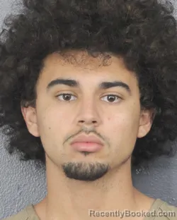 Mugshot of ALEX EMILIO LOPEZ booked in Broward County, Florida on March 17, 2026