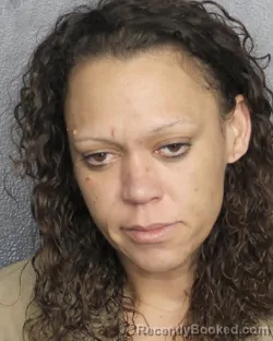 Mugshot of BRENDA FELICIANO-MATIENZO