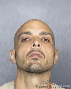 Mugshot of LUIS ALFREDO UCETA booked in Broward County, Florida on May 1, 2026