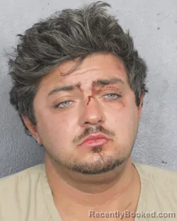 Mugshot of ANDREW JOSEPH REGGIO booked in Broward County, Florida on May 2, 2026