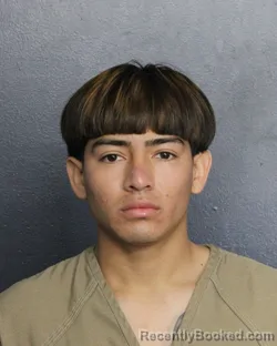 Booking photo from Broward County, Florida