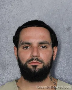 Mugshot of MICHAEL LUIS ARMAN booked in Broward County, Florida on June 13, 2026